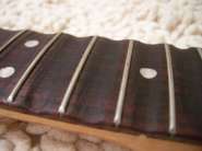 DSCN9008.jpg