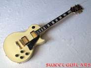 ObG_LP_Custom_1.jpg