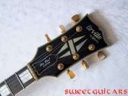 ObG_LP_Custom_2.jpg