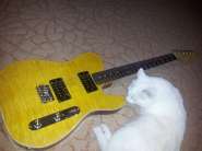 20140319_210517.jpg