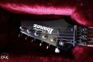ibanez 4.jpg