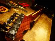 F.tele86 ROSEWOOD Japan-10.jpg