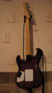 DSC04176.jpg
