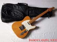 Washburn_TL_1.jpg