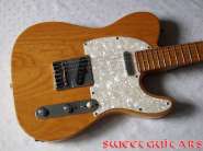 Washburn_TL_2.jpg