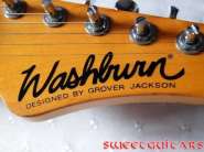 Washburn_TL_3.jpg