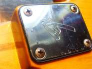 F.Tele77 LEFT-10.jpg