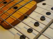 F.strat CS Re56_2013-8.jpg