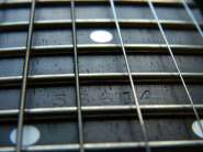 DSCN3309.jpg