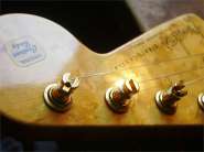 F.strat92 CS-24.jpg