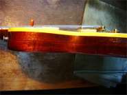 Gibson Les Paul Gold Top_1971-17.jpg