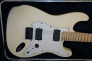 Fender USA Jim Root Stratocaster Artist signature series 2064345-1