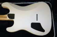 Fender USA Jim Root Stratocaster Artist signature series 2064353-5
