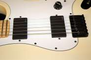 Fender USA Jim Root Stratocaster Artist signature series 2064363-10