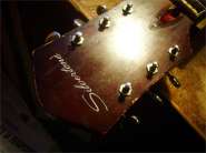 SilverTone 1964-1.jpg
