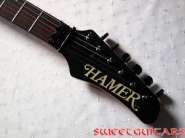Hamer_2.jpg