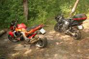 IMG_0060 copy.jpg