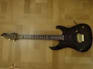 DSC01013.jpg