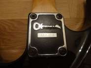 DSC01020.jpg
