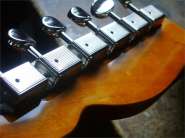 Fender Telecoustic-9.jpg