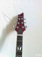 Schecter 2.jpg