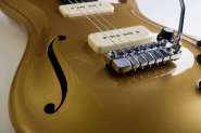 67171789_Aufbau_Les_Paul_Tremolo1.jpg