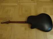 DSC01043.jpg