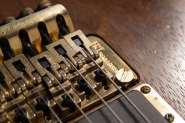 Fernandes_FR-4.JPG