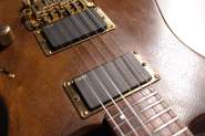 Fernandes_FR-5.JPG