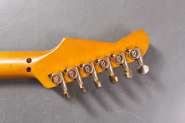 Fernandes_FR-8.JPG