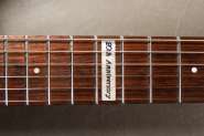 Fernandes_FR-9.JPG
