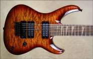 Jackson-Custom-Shop-SL2H-7-EbN-2T.jpg