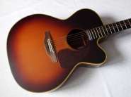 Takamine_NPT_012_1.jpg