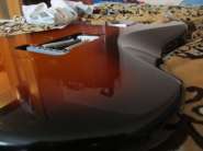 IMG_8061.jpg