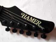 Hamer_Diablo_2.jpg
