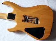 Hamer_Diablo_3.jpg