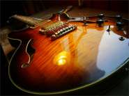 Ibanez AS200_97-22.jpg