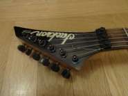 DSC01079.jpg