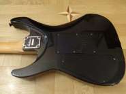 DSC01071.jpg