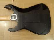 DSC01054.jpg