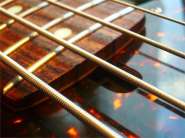 XOTIC XP-SERIES BASS-13.jpg
