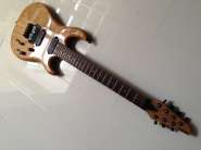 Carvin 1.jpg