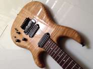 Carvin 2.jpg