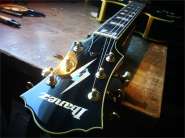 Pat Metheney PM-100-2.jpg