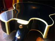 Pat Metheney PM-100-11.jpg