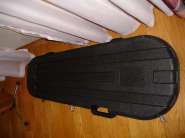 DSC05768.jpg