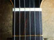 Line6-24.jpg