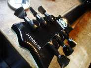 ESP Eclipse-6.jpg
