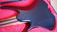 DSC03509.jpg