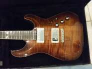 Schecter_2002_1.jpg